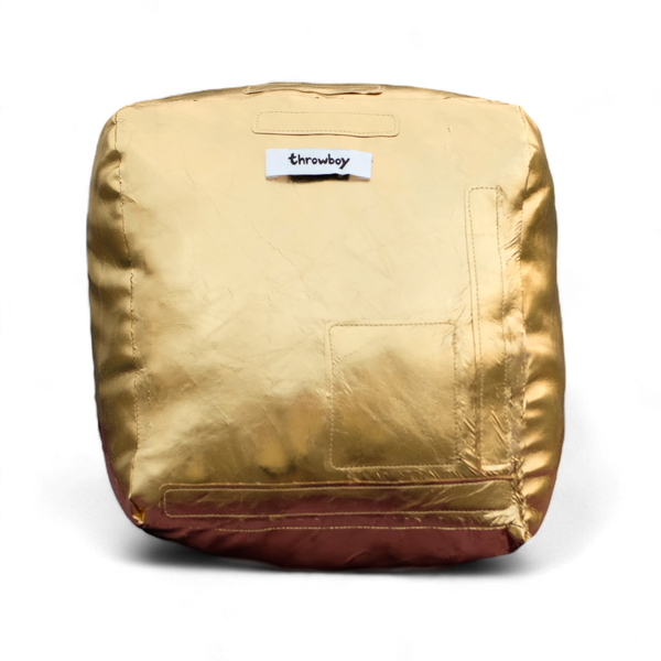 Golden 84 Pillow