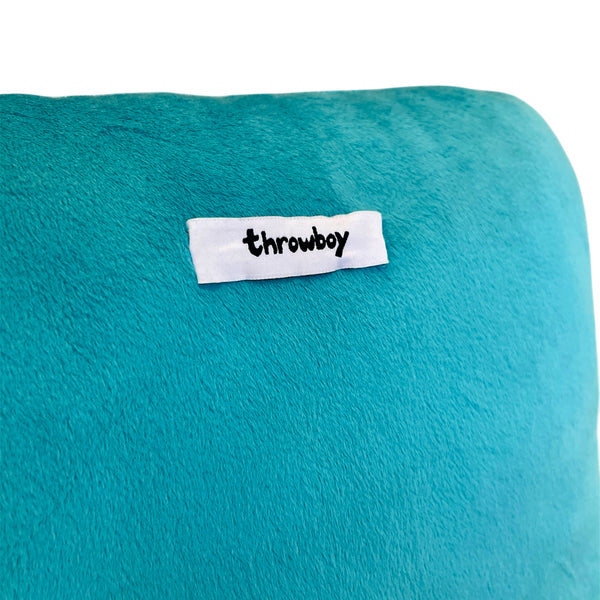 Icon Pillow