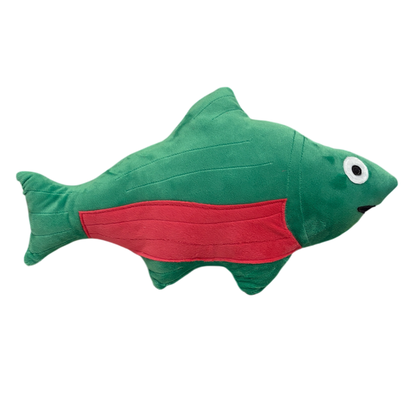 Salmon Pillow