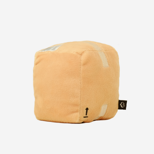 Box Pocket Pillow